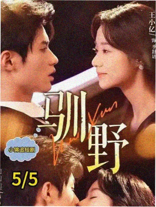 长夜有灯剧集海报
